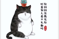 斜眼网红猫,萌态可掬的喵星人走红网络
