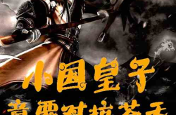 小说苍天,命运之轮的轮回