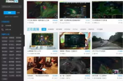 直播网红网站,揭秘网络红人的崛起之路