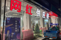 义乌网红不倒,揭秘网络红人的持久魅力