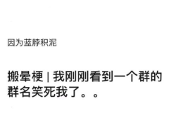 汉字的谐音梗,汉字谐音梗的魅力与应用解析