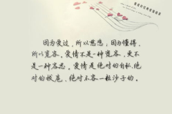 经典语录情感,感悟人生百态