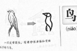 谜底为,探寻谜底背后的奥秘